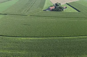Upper Bavaria Landscape Prints: Large corn fields surround a small farm