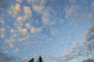 Altocumulus Clouds Prints: Large fleecy clouds (Altocumulus)