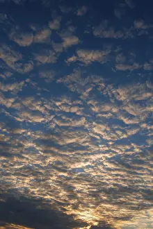 Evening Sky Bavaria Prints: Large fleecy clouds (altocumulus) in evening sky