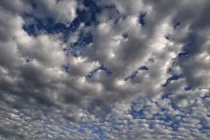 Altocumulus Clouds Prints: Large fluffy clouds (Altocumulus)