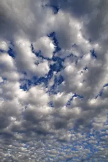 Southern Germany Weather Prints: Large fluffy clouds (Altocumulus)