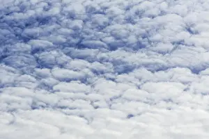Fleecy Cloud Formations Prints: Large fluffy clouds, altocumulus