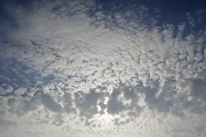 Altocumulus Clouds Prints: Large fluffy clouds, altocumulus clouds