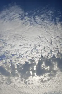 Altocumulus Clouds Prints: Large fluffy clouds, altocumulus clouds