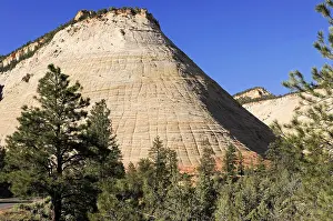 Natural Reserve USA Prints: Large impressive rock with pine trees in the foreground