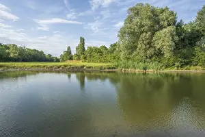 Prints of A large pond is surrounded by trees and plants. The sky is clear and only slightly cloudy. It is a pleasant, sunny afternoon. You can see reflections in the water. Bas-Rhin, Alsace, France Bas Rhin Prints: Bas-Rhin, Alsace, France Print: Serene Pond Landscape