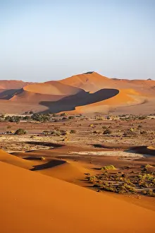 Red Sand Dunes Africa Prints: Large red sand dunes in the Namib Desert