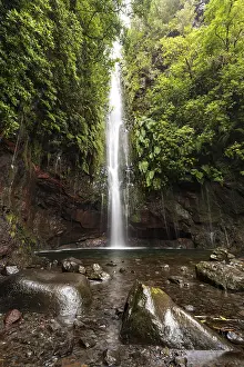 European Rainforest Landscape Prints: A large waterfall