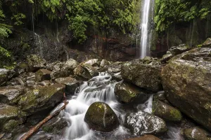 Madeira Waterfall Prints: A large waterfall
