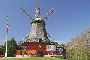 Danish Windmill Prints: Large windmill with Danish flag