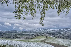 Central Europe Scenery Prints: Late onset of winter in spring Kandel