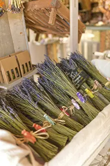 Fragrant Plant Prints: Lavender bundle