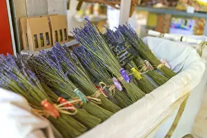 Fragrant Plant Prints: Lavender bundle