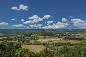 Prints of Lavender fields, meadows and cornfields, view over the plain of Sault, Provence, Vaucluse, Provence-Alpes-Cote d'Azur, France Lavender fields, meadows and cornfields, view over the plain of Sault Vaucluse Prints: Lavender Fields Print, Sault, Provence, France