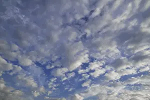 Deserted Outdoor Shots Prints: Layer of fluffy clouds, altocumulus clouds