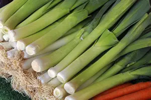 Deserted Garden Prints: Leek