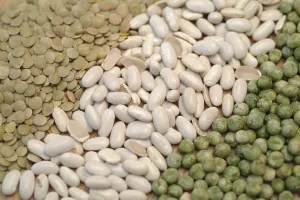Vitamin Rich Vegetables Prints: Legumes