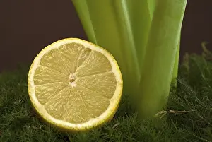 Balanced Diet Food Prints: Lemon