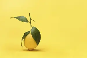 Lemon Fruit Prints: Lemon with leaf against yellow background