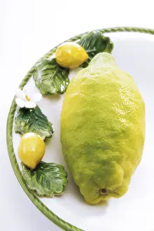 Studio Background Food Prints: Lemon on a plate