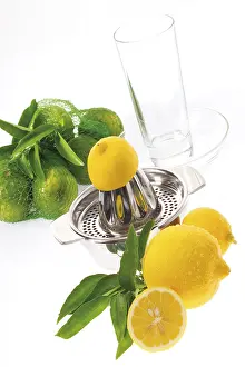 Fresh Lemons Prints: Lemons