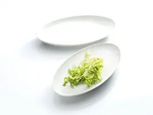 Empty Plate Prints: Lettuce leaf on a plate