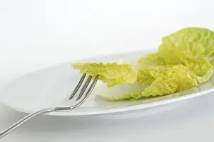 Nutrition Plate Prints: Lettuce leaf on a plate