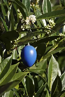 European Easter Traditions Prints: Still life with Easter egg, Germany