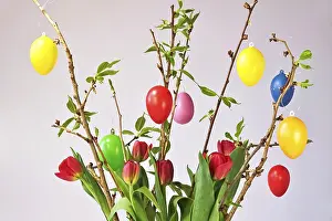 Studio Shot Of Easter Eggs Prints: Still life with Easter eggs, Easter bouquet