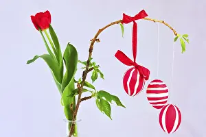 Studio Shot Of Easter Eggs Prints: Still life with Easter eggs, Germany