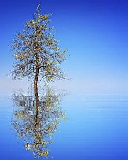 Deserted Landscapes Prints: Life time