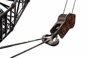 Wildlife Photography Details Prints: A lifting hook