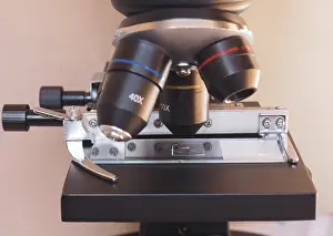 Detailed Macro Photography Prints: Light microscope detail