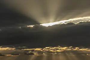 Contemplative Morning Moment Prints: Light rays of the sun's rays through clouds in the morning
