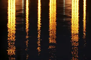 Nighttime Photography Prints: Light reflecting on the water