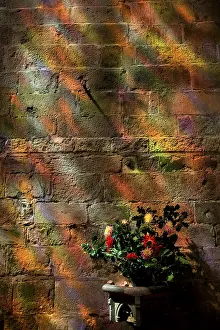 Deserted House Architecture Prints: Light reflections on a wall, Trequier