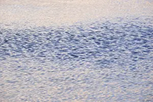 Light Reflections On Water Surface Prints: Light reflections on the wavy water surface