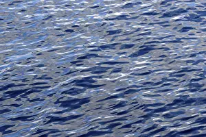 Artificial Lake Landscape Photography Prints: Light reflections on the wavy water surface