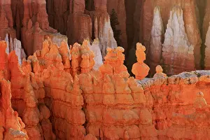 Evening Sun Landscape Prints: The light of the setting sun emphasises the textures of the eroded hoodoo rocks