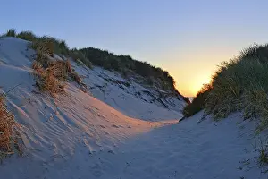Evening Light Germany Prints: Light of the setting sun falls in a dune valley