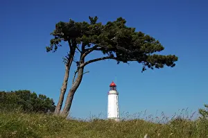 Baltic Sea Shoreline Prints: Lighthouse