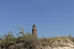 European Coastal Structure Prints: Lighthouse, beach, dead tree, break-off edge