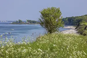 Northern Germany Lighthouse Prints: Lighthouse, beach, tree, Bulk