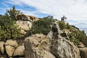 Sardinia Lighthouse Prints: Lighthouse with cacti and rocks