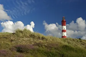 Amrum Lighthouse Prints: Lighthouse in the dunes, Amrum