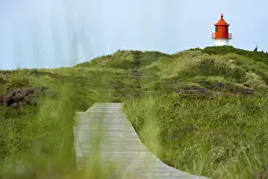 North Frisian Island Lighthouse Prints: Lighthouse in the dunes, Amrum