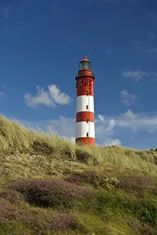 North Frisian Island Lighthouse Prints: Lighthouse in the dunes, Amrum