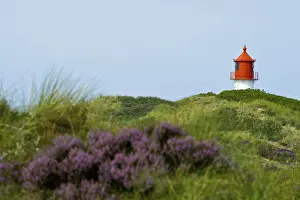 Amrum Lighthouse Prints: Lighthouse in the dunes, Amrum