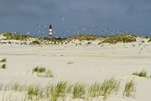 Deserted Lighthouses Europe Prints: Lighthouse in the dunes, Amrum