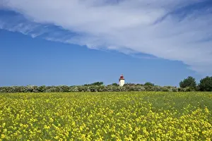 German Countryside Landscape Prints: Lighthouse with a rapeseed field